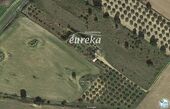Foto - Finca, Strandhaus in Palau-Saverdera