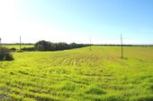 Foto - Grundstück in Campos