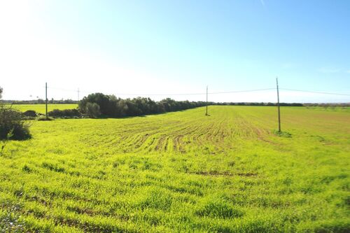Foto - Grundstück in Campos