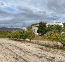 Einfamilienhaus in Cieza - 390.000,00&nbsp;EUR Kaufpreis, ca.&nbsp; 200,00&nbsp;m&sup2; in Cieza (PLZ: )