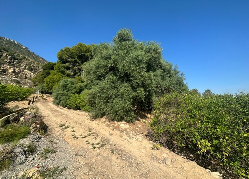 Foto - Grundstück zum Kaufen in Blanca
