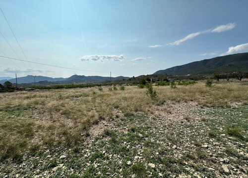 Foto - Grundstück in Ricote zum Kaufen