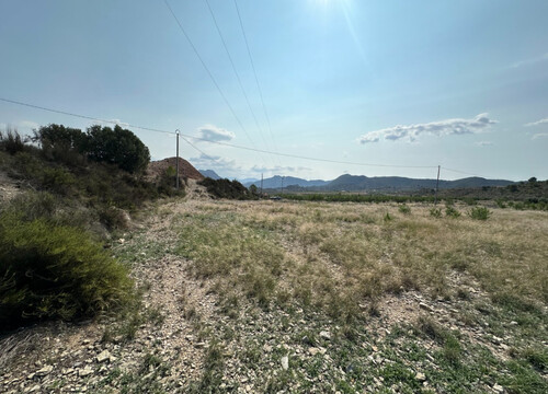 Foto - Grundstück in Ricote - 45.000,00&nbsp;EUR Kaufpreis, ca.&nbsp; 0,00&nbsp;m&sup2;