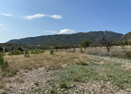 Foto - Grundstück zum Kaufen in Ricote