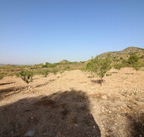 Grundstück in Ricote - 52.000,00&nbsp;EUR Kaufpreis, ca.&nbsp; 0,00&nbsp;m&sup2; in Ricote (PLZ: )