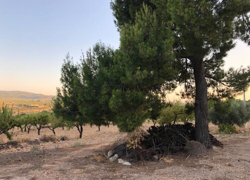 Foto - Grundstück in Ricote zum Kaufen