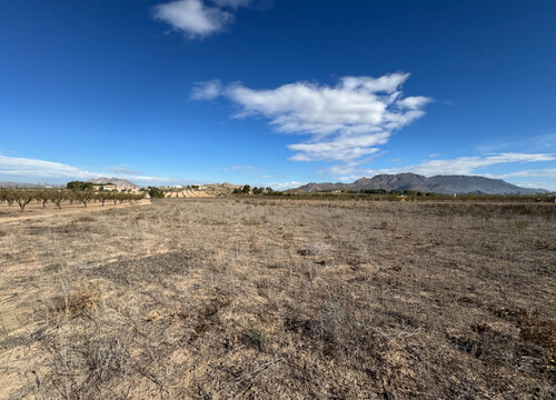 Foto - Grundstück in Ricote - 29.000,00&nbsp;EUR Kaufpreis, ca.&nbsp; 0,00&nbsp;m&sup2;