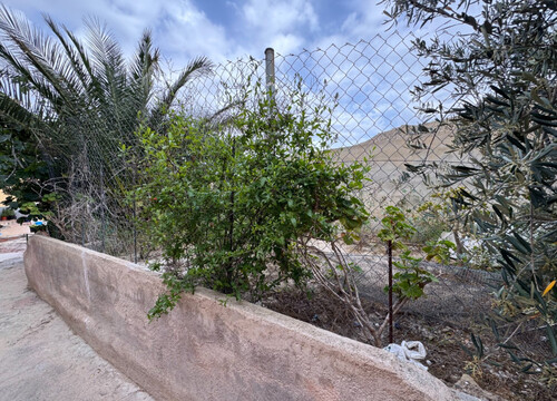 Foto - Einfamilienhaus in Blanca zum Kaufen