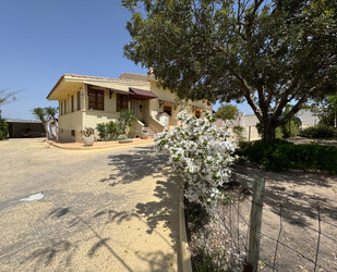 Einfamilienhaus in Molina de Segura