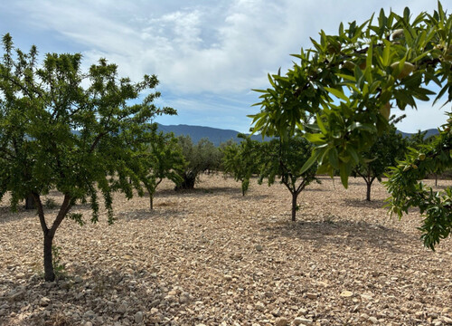 Foto - Grundstück in Ricote zum Kaufen