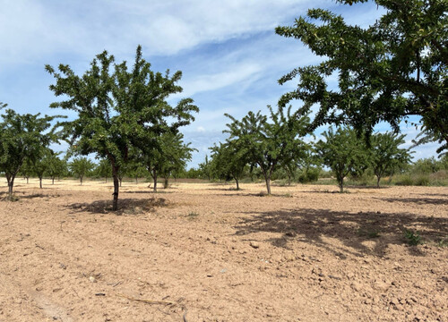 Foto - Grundstück zum Kaufen in Ricote
