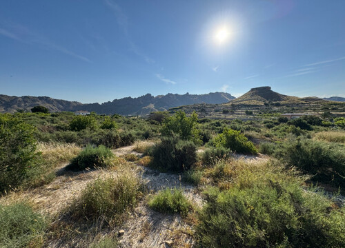 Foto - Grundstück zum Kaufen in Abaran