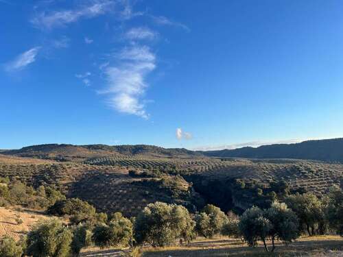 Foto - Einfamilienhaus in Jayena zum Kaufen