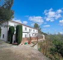 Einfamilienhaus in Montefrío - 240.000,00&nbsp;EUR Kaufpreis, ca.&nbsp; 256,00&nbsp;m&sup2; in Montefrío (PLZ: )