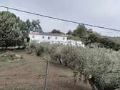 Foto - Einfamilienhaus in Montefrío