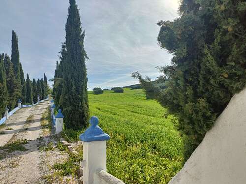 Foto - Einfamilienhaus in Villanueva de Mesía zum Kaufen
