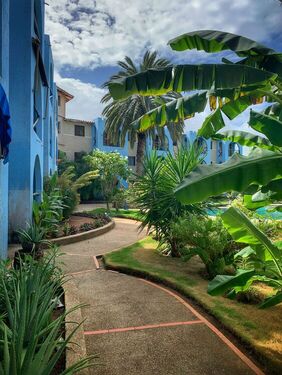 YFIN1577 - Appartement in Nueva Esparta