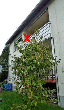 6 - 
