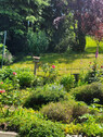 Garten - 