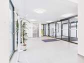 EG - Eingangsbereich - Repräsentative & moderne Gewerberäume auf 1.189 m² mit Glasfaser, Meetingräumen & Stellplätzen