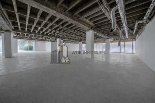 Innenansicht - Laden, Geschäft, Verkaufsfläche in Mannheim / Schwetzingerstadt/Oststadt