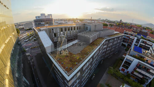 Drohnenaufnahme-2-2 - Büro mit 686,00 m&sup2; in Heidelberg zur Miete