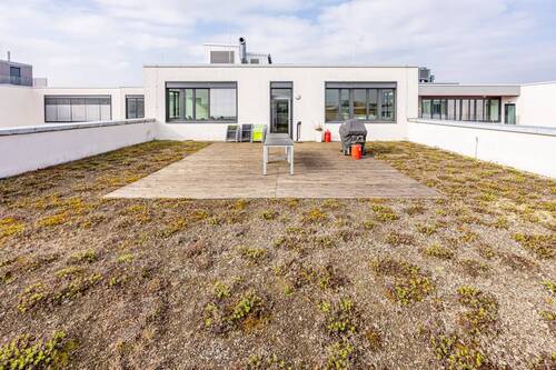 Dachterrasse - 