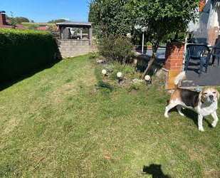 Haus zum Kaufen in Gedern 299.000,00 € 142 m²