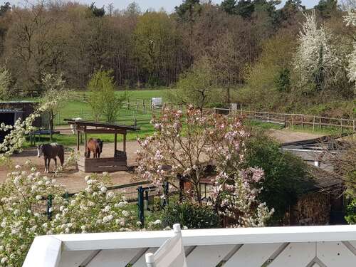 Foto - Wohnung zum Mieten in Dreieich 2.000,00 € 144 m²