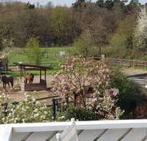 Wohnung zum Mieten in Dreieich 2.000,00 € 144 m²