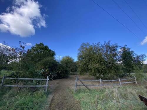 Foto - Grundstück zum Mieten in Bad Homburg vor der Höhe 900,00 € 2254 m²