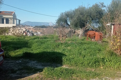 Foto - Grundstück Land Kaufen, , Korfu-Stadt (Korfu Präfektur),