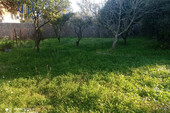 Foto - Grundstück zum Kaufen in 