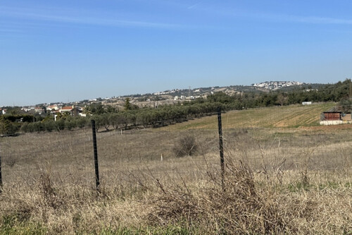 Foto - Grundstück Land Kaufen, , Thermi (Thessaloniki - Stadtorte um das Stadtzentrum),