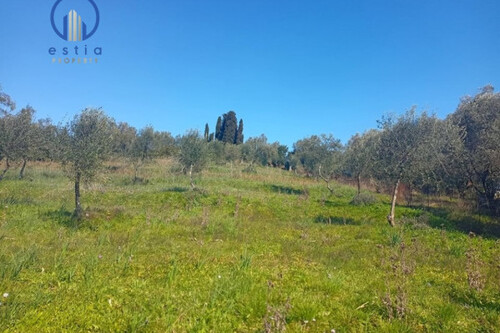 Foto - Grundstück in zum Kaufen