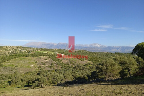 Foto - Grundstück Land Kaufen, , Tympaki (Heraklion Präfektur),