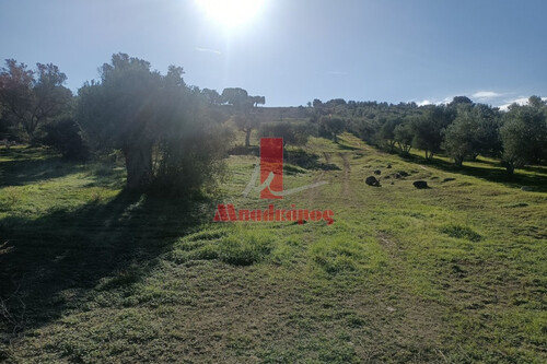 Foto - Grundstück in zum Kaufen