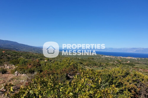 Foto - Grundstück in 