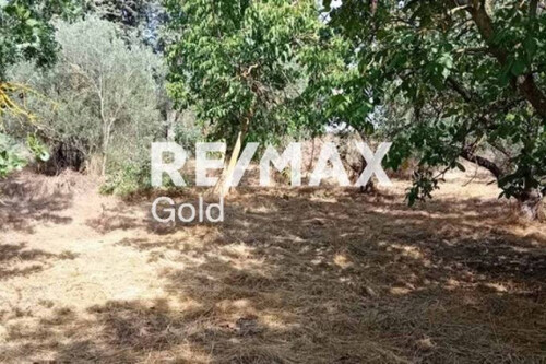 Foto - Einfamilienhaus in zum Kaufen