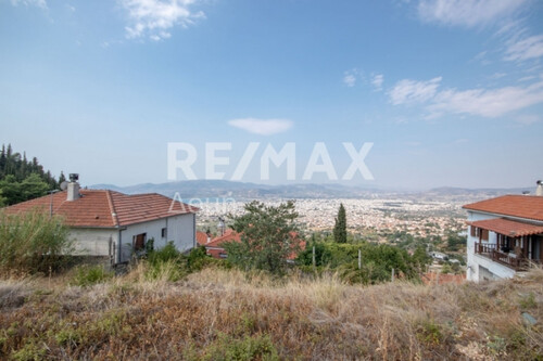 Foto - Grundstück Land Kaufen, , Iolkos (Pilio),