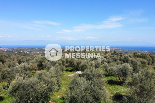 Foto - Grundstück zum Kaufen in 