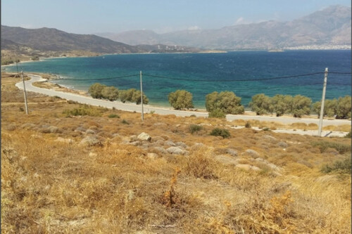 Foto - Grundstück zum Kaufen in 