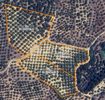 Grundstück Land Kaufen, , Aipeia (Messinia),