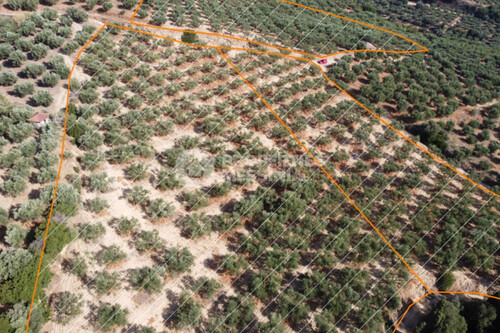 Foto - Grundstück in 