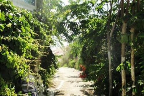 Foto - 
