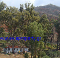 Grundstück Land Kaufen, 58 m², Limni (Euböa), 200.000 &euro;