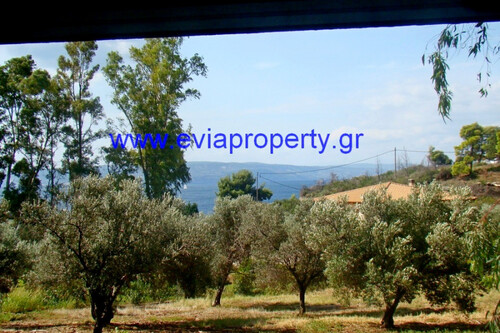 Foto - 1 Zimmer Grundstück in 