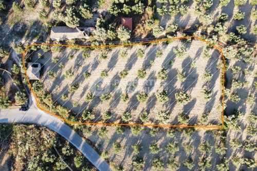 Foto - Grundstück zum Kaufen in 