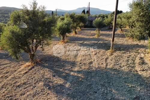 Foto - Grundstück in 