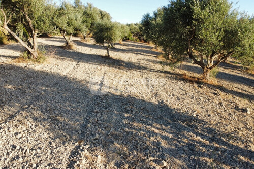Foto - Grundstück in zum Kaufen